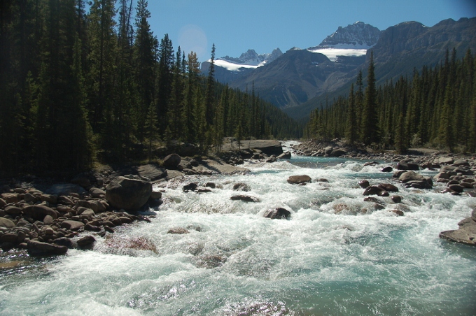 rushing water of the Mistaya Canyon